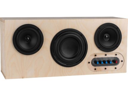 Executive DIY speaker kit